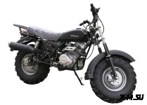 Мотоцикл внедорожный СКАУТ-3VR-250 колеса 12&quot;