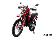 Мотоцикл MOTOLAND (МОТОЛЕНД) GL250 ENDURO (172FMM-5/PR250) (XL250-В)