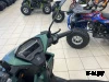 Скутер PROMAX INFERNO 250 (49)