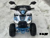 Квадроцикл PROMAX МАЙНКРАФТ KIDS 125