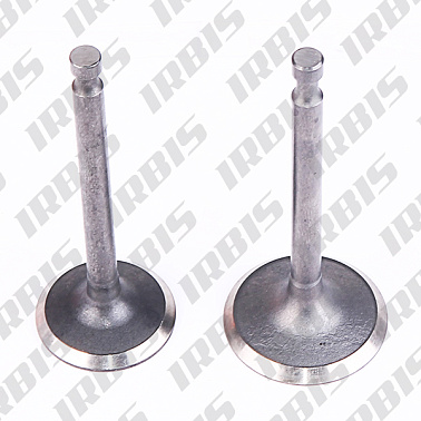 Клапаны (впуск/выпуск) ZS168FB (d=24/25) (l=62/63)