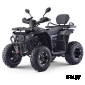 Квадроцикл бензиновый MOTAX GRIZLIK W200  LUX
