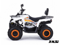 Квадроцикл MOTAX ATV Grizlik 200 Ultra