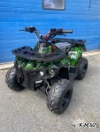 Квадроцикл RAPTOR max 125