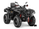 Квадроцикл AODES Pathcross ATV650L PRO EPS 2025г.