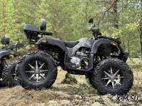 Квадроцикл PROMAX 320 DOMINATOR (2025)