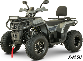 Квадроцикл YACOTA VIKING LONG 250 PRO Квадроцикл YACOTA VIKING LONG 250 PRO